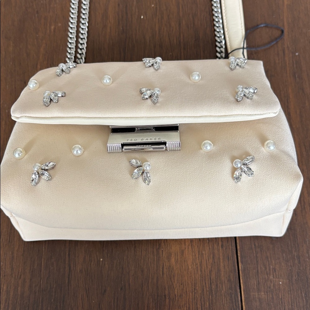 Ted Baker bag GORGEOUS NWT - Picture 2 of 10